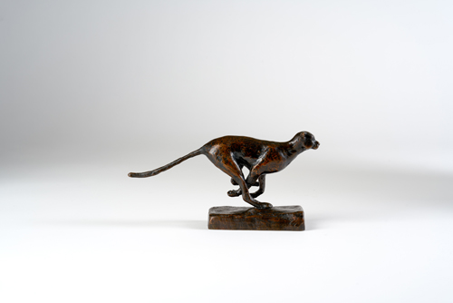013_Guepard_A